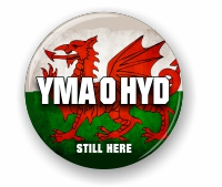 Yma o Hyd - Welsh flag, small badge